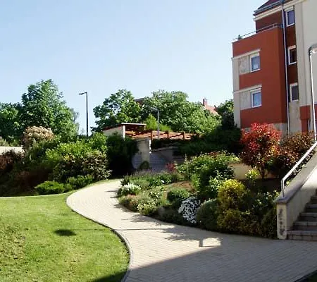 Csillagvirag